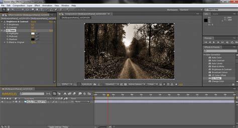 adobe after effects cs5 download